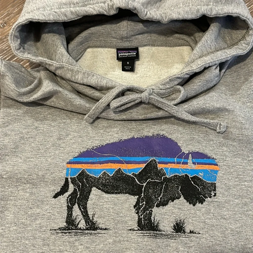 Patagonia hoodie ‘Buffalo’ - Picture 4 of 4